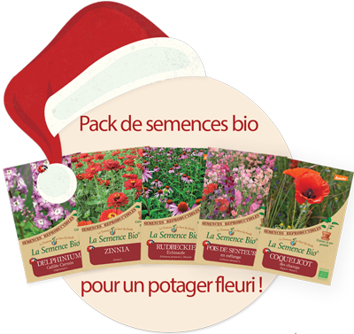 semences de fleurs - potager -semences bio