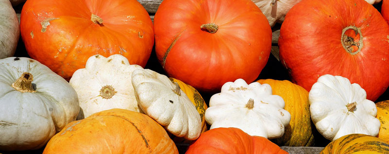 conservation des légumes - courges bio