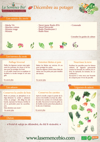 fiche memo decembre bio