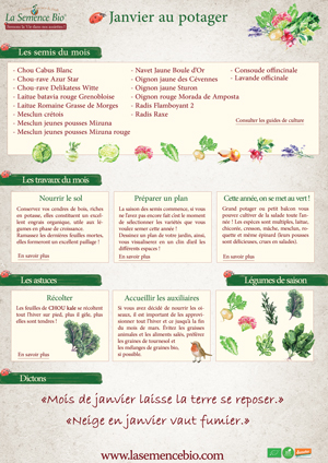 les travaux de janvier au potager