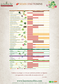 calendrier semis bio automne