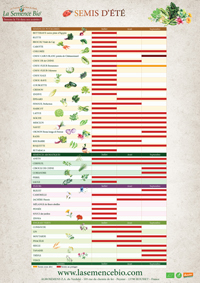 Calendrier de semis et récolte au potager