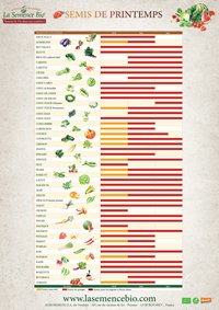 Calendrier de semis et récolte au potager