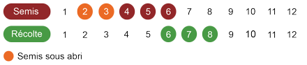 calendrier semis celeri bio