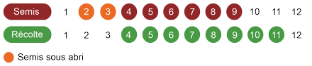 calendrier semis cerfeuil bio