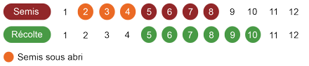 calendrier semis fenouil bio