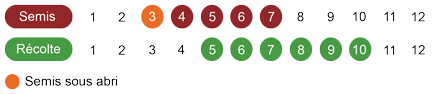 calendrier semis sauge bio