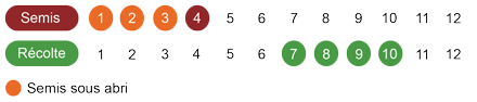 calendrier semis poivron bio