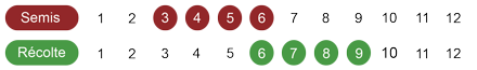 calendrier semis betterave bio