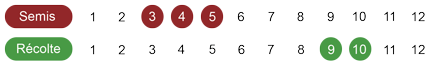 calendrier semis celeri bio