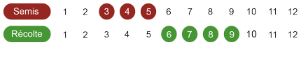 calendrier semis et récolte