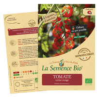 graines tomate - LA semence bio