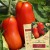 TOMATE San Marzano Bio