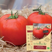 TOMATE Merveille des Marchés Bio