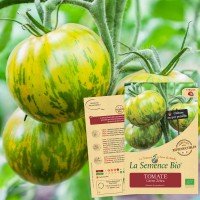 TOMATE Green Zebra Bio