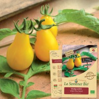 TOMATE Yellow Pearshaped  Bio