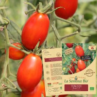 TOMATE Roma VF Bio