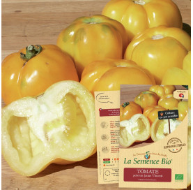 TOMATE poivron jaune Vincent Bio