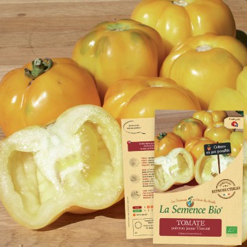 TOMATE poivron jaune Vincent Bio