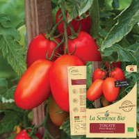 TOMATE Prince Borghese Bio