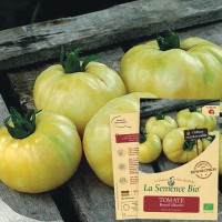 TOMATE Beauté blanche  Bio