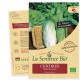 CHICOREE Pain de sucre Bio