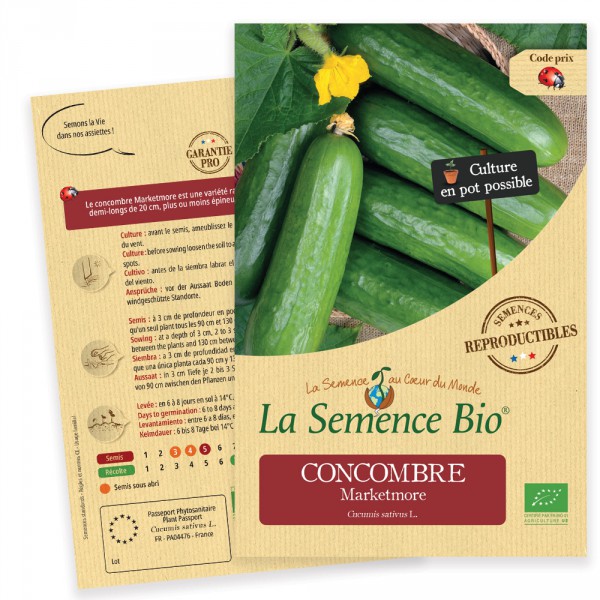 50 Graines de Concombre Marketmore légumes jardin potager méthode BIO