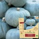 COURGE POTIRON Bleu de Hongrie Bio