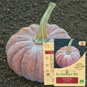 COURGE Futsu black Bio