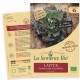 LAITUE batavia rouge Grenobloise Bio