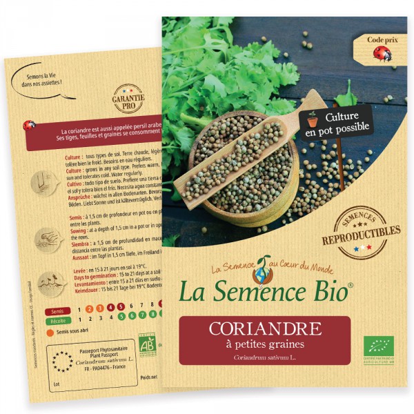 Certifié AB Coriandrum sativ 30 graines Bio Aromatiques CORIANDRE Cultivée 