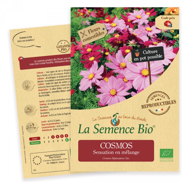 COSMOS Sensation en mélange Bio - La Semence Bio