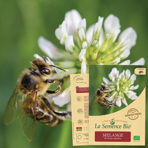 Mélange de fleurs pour abeilles – Graines biologiques