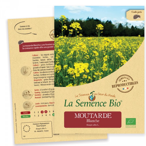 Poudre Moutarde blanche - Bioflore - Beauté 