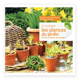 Je multiplie les plantes au jardin