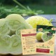 CONCOMBRE Lemon Bio