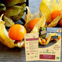 PHYSALIS Coqueret du Pérou Bio