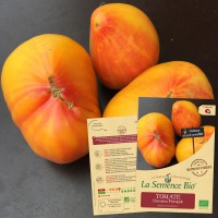 TOMATE Hawaiian Pineapple Bio