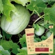 MELON Vieille France Bio