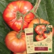 TOMATE Brandywine joyce Bio