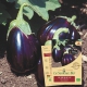 AUBERGINE Black Beauty Bio