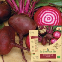 BETTERAVE Chioggia Bio