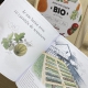 Coffret - Mon Potager Bio clé en main