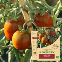 Graines BIO TOMATE CHARNUE DE HUY - LA SEMENCE BIO