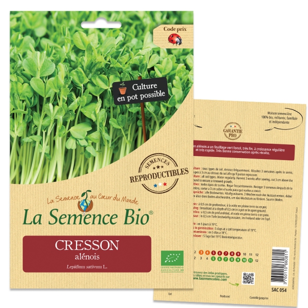 Acheter Cresson semences common 500g – Lepidium sativum (En Vrac)?  Commander des graines sur