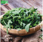 ROQUETTE cultivée - Graines Bio