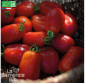 TOMATE San Marzano - Graines Bio
