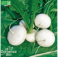 NAVET plat blanc de Mai - Graines Bio
