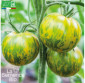 TOMATE Green Zebra - Graines Bio
