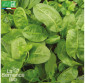 OSEILLE commune - Graines Bio